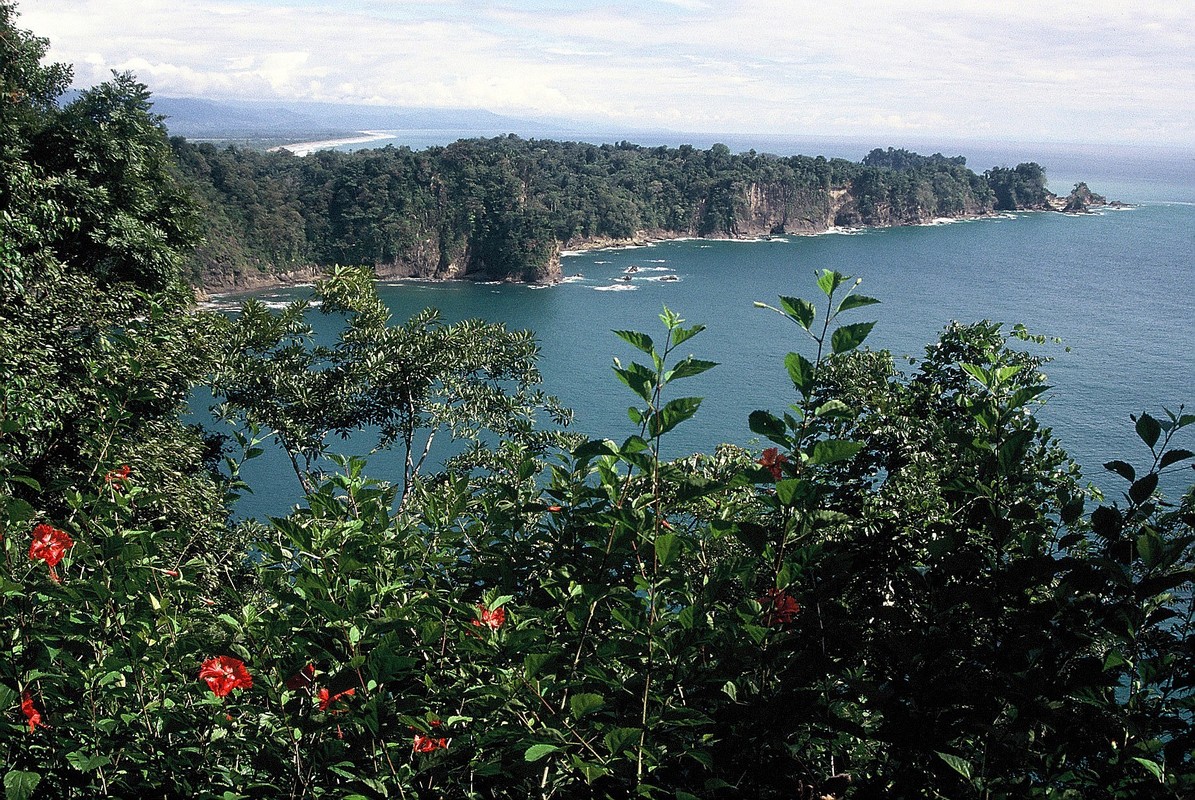 2003. Kostaryka