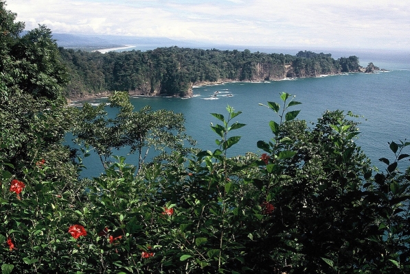 Manuel Antonio NP ….