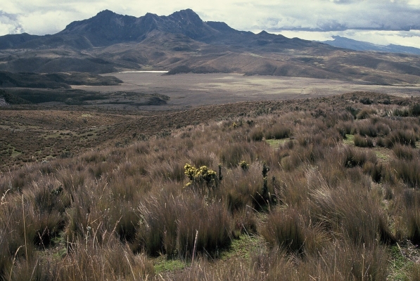 15_E21_35.JPG